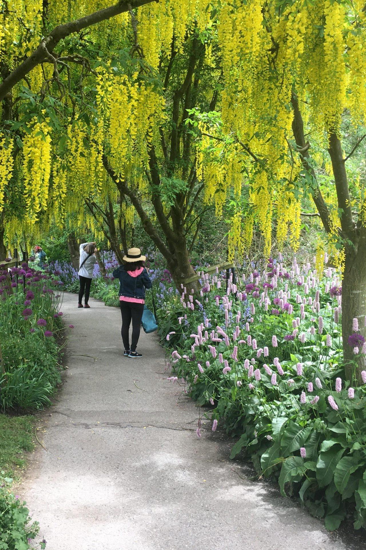 VanDusen Botanical Garden